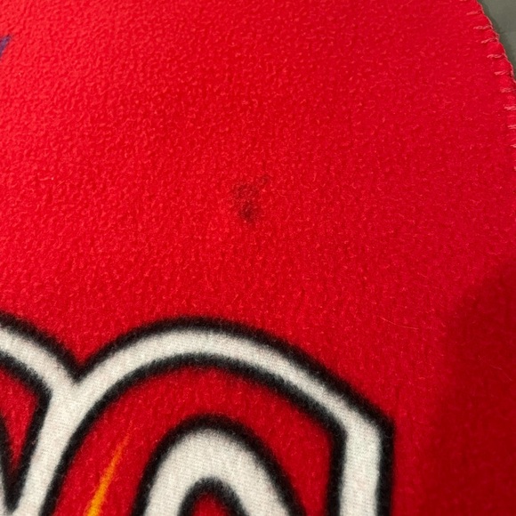 Rare Washington Wild Things Baseball Blanket - Picture 2 of 5